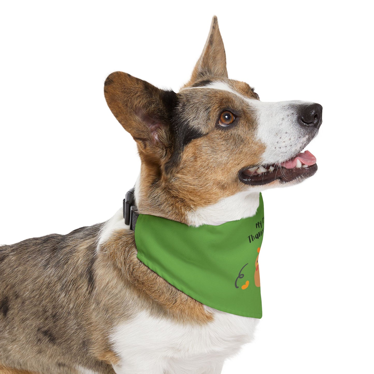 Thanksgiving Pet Bandana Collar - Cute Turkey Design for Dog Celebration